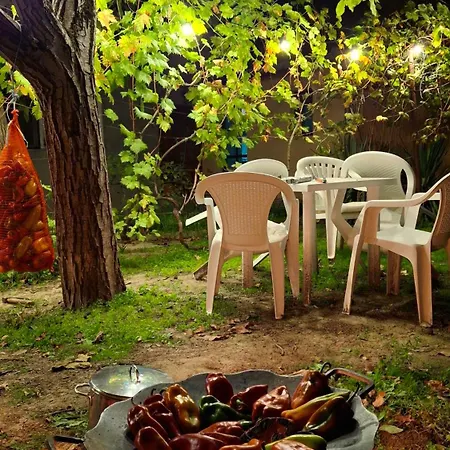 Komoc Appartement Novi Bečej