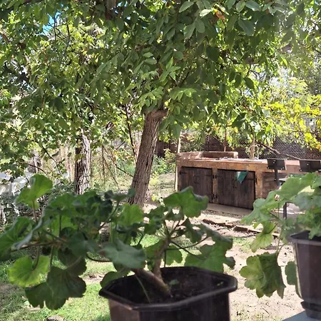 Komoc Appartement Novi Bečej