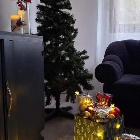 Komoc Apartment Novi Becej